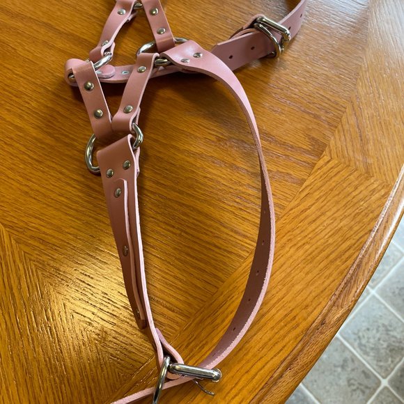 Bleak & Sleek REAL PINK LEATHER Leo Garter belt and garter Size Large - Picture 10 of 12